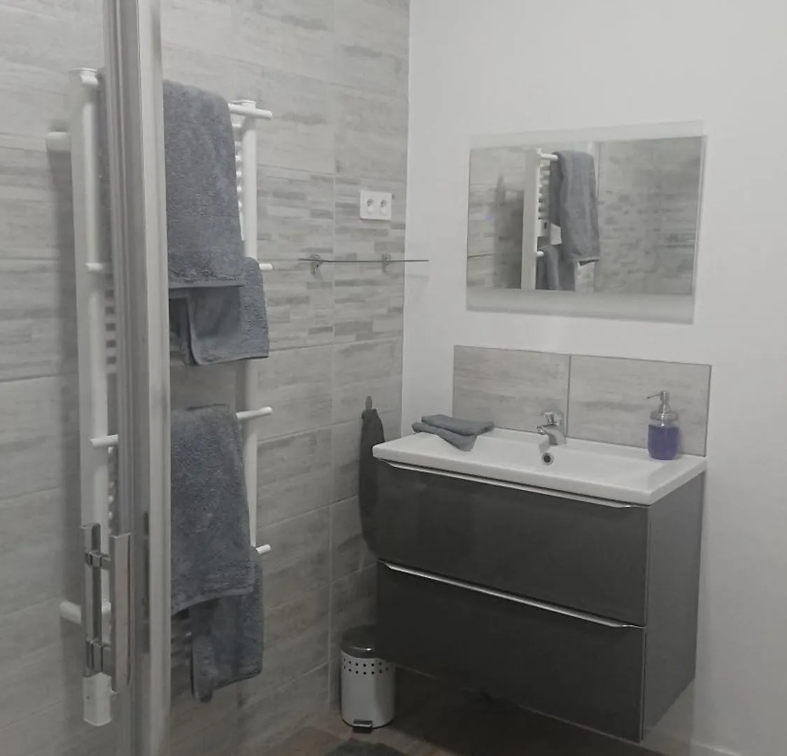 Agreable Chambre, Salle De Bain Privative, La Placotte Saint-Clar Homestay